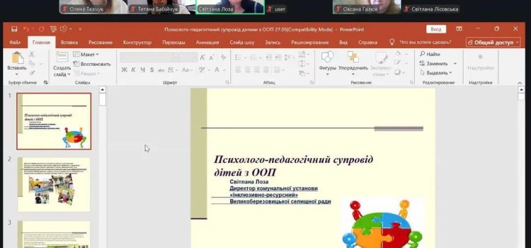 27 травня директор ІРЦ взяла участь в он-лайн семінарі